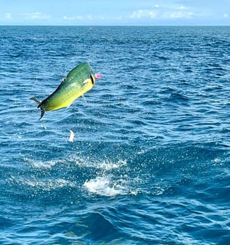 Fishing in Quepos, Costa Rica