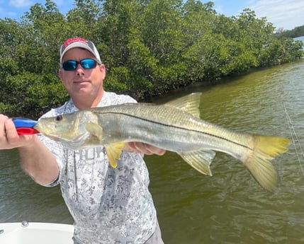 Fishing in St. Petersburg, Florida
