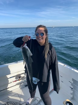 Striped Bass fishing in Montauk, New York