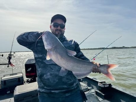 Blue Catfish Fishing in Dallas, Texas