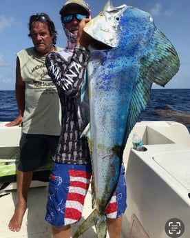 Mahi Mahi Fishing in Marathon, Florida