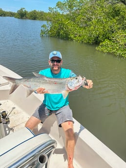 Tarpon Fishing in Naples, Florida