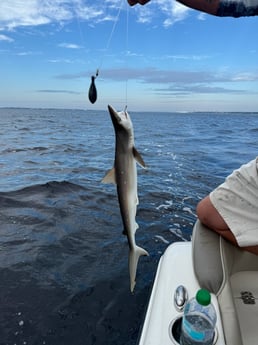 Fishing in Santa Rosa Beach, Florida