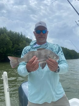 Fishing in Islamorada, Florida