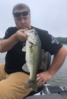 Largemouth Bass fishing in Lake Fork, Texas