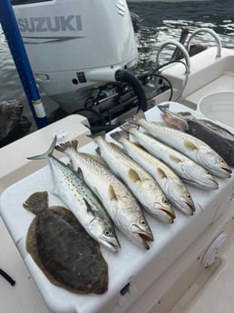 Fishing in Sarasota, Florida