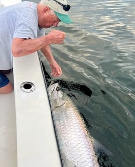 Tarpon Fishing in Miami Beach, Florida