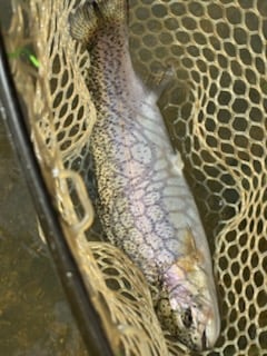Fishing in Broken Bow, Oklahoma