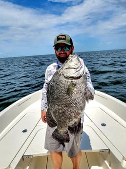 Tripletail Fishing in Boothville-Venice, LA, USA