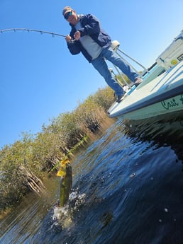 Fishing in Fort Lauderdale, Florida