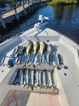 Fishing in Pensacola, Florida