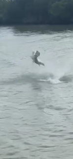 Fishing in Marco Island, Florida