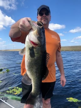 Largemouth Bass Fishing in Delray Beach, Florida