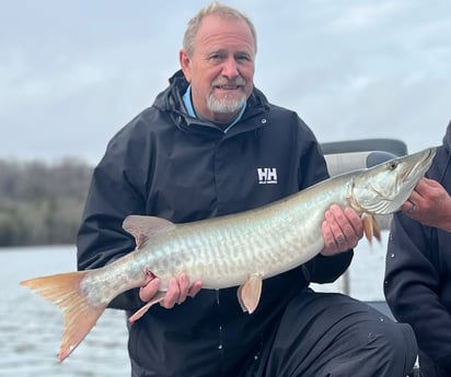 Muskie Fishing in Knoxville, Tennessee