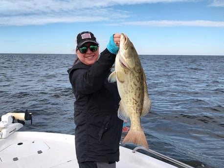Gag Grouper Fishing in Crystal River, Florida