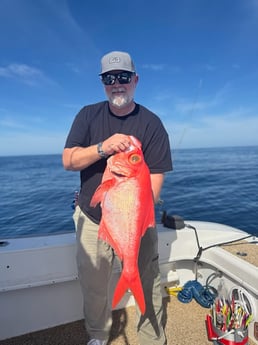 Fishing in Tierra Verde, Florida