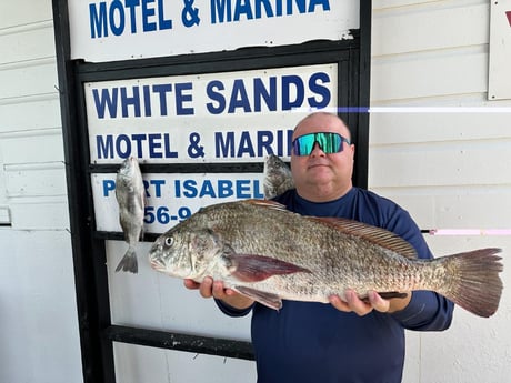 Black Drum Fishing in Port Isabel, Texas