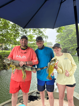 Fishing in Miami, Florida