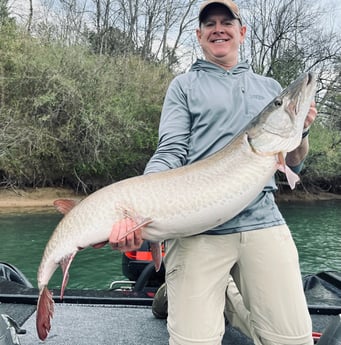 Muskie Fishing in Knoxville, Tennessee