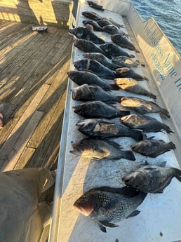 Fishing in Mount Pleasant, South Carolina