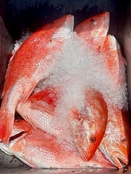 Fishing in Cape Canaveral, Florida