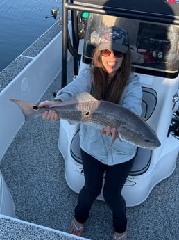 Fishing in Tampa, Florida