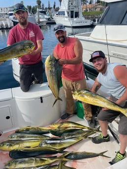 Mahi Mahi / Dorado Fishing in San Diego, California