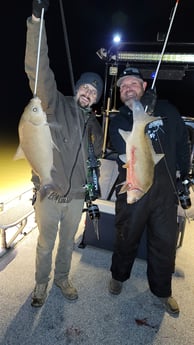 Carp Fishing in Waco, Texas