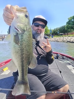 Fishing in Alba, Texas