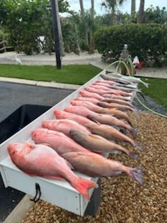 Fishing in Sarasota, Florida
