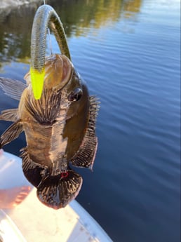 Fishing in Pembroke Pines, Florida