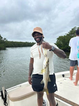 Fishing in St. Petersburg, Florida