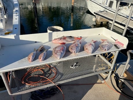 Fishing in Key West, Florida