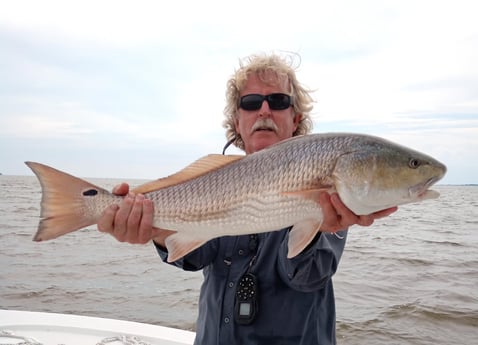 Fishing in Richmond, California