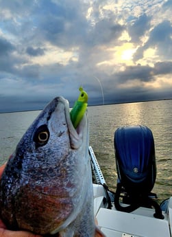 Redfish Fishing in Boothville-Venice, Louisiana