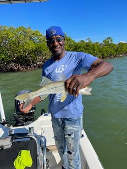 Snook Fishing in Naples, Florida