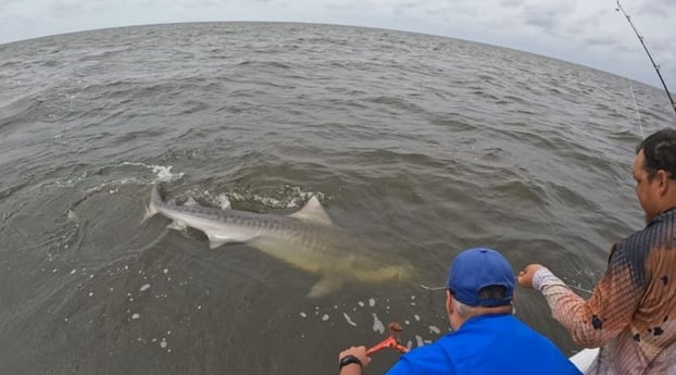 Fishing in Cedar Key, Florida