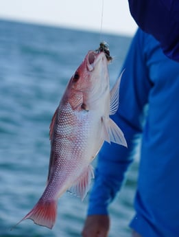 Fishing in Orange Beach, Alabama