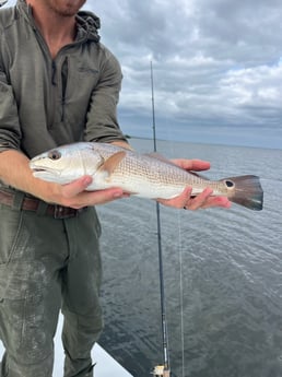 Fishing in Panama City Beach, Florida