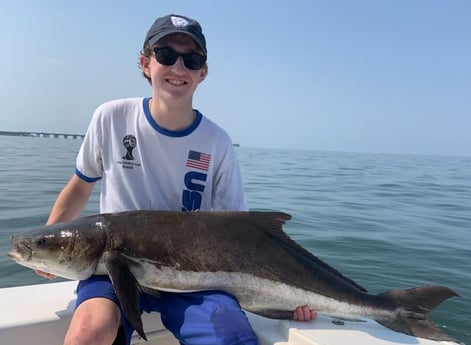 Cobia fishing in Virginia Beach, Virginia