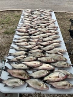 Fishing in Wylie, Texas