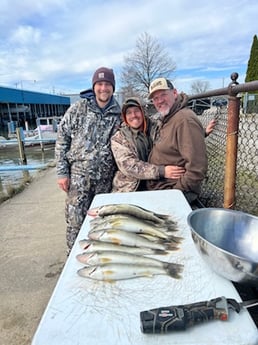 Fishing in Monroe, Michigan