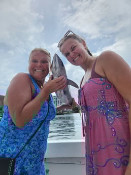 Fishing in Zephyrhills, Florida