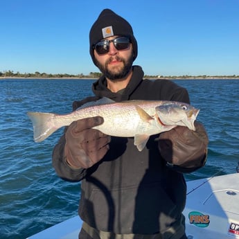 Speckled Trout Fishing in Beaufort, North Carolina