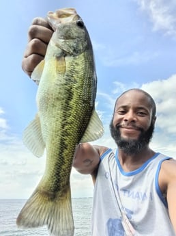 Fishing in Alba, Texas
