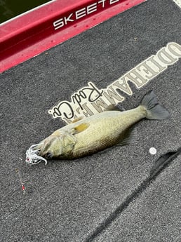 Fishing in Alba, Texas