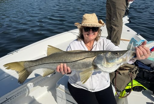 Snook Fishing in St. Petersburg, Florida