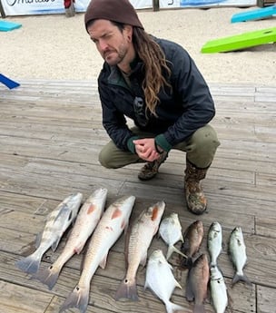 Black Drum, Bluefish, Florida Pompano, Mangrove Snapper, Redfish Fishing in Orange Beach, Alabama