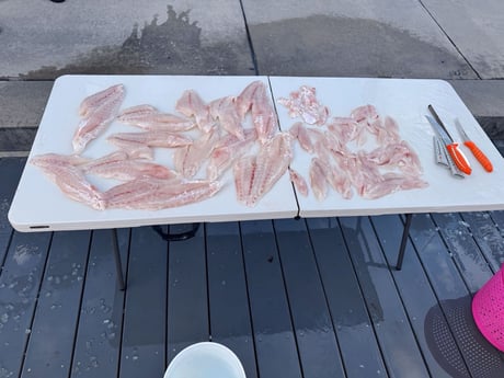 Red Grouper Fishing in