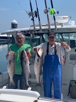 Bluefish, Striped Bass fishing in Montauk, New York